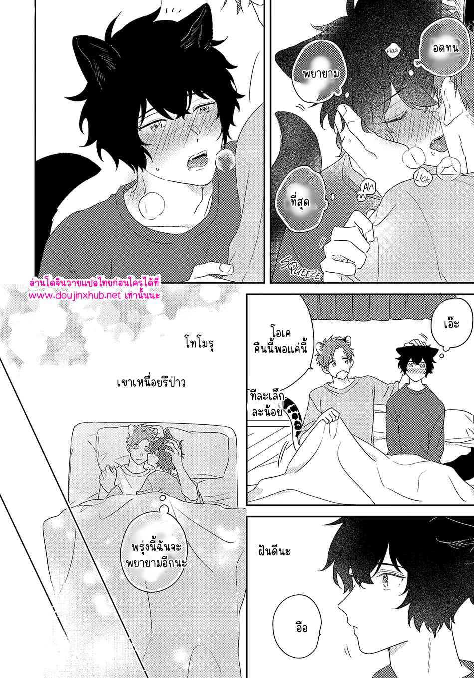 พี่เสือที่รักของผม 3